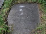 image of grave number 433344